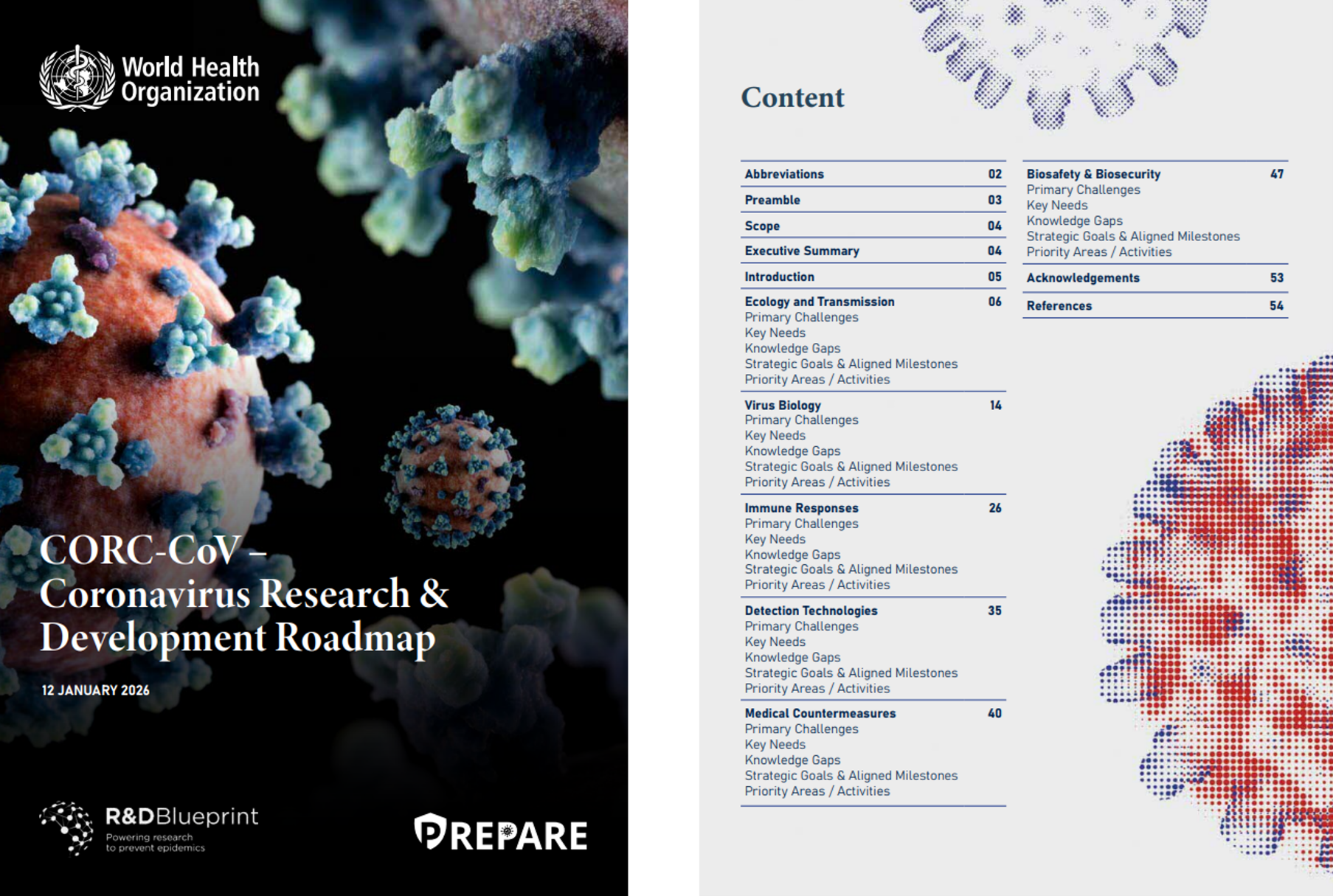 Screenshot of R&D roadmap